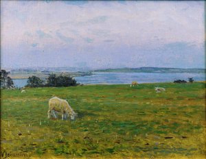 Moutons paissant, Osterby, Skagen